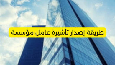 طريقة إصدار تأشيرة عامل مؤسسة