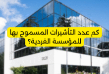 كم عدد التأشيرات المسموح بها للمؤسسة الفردية؟