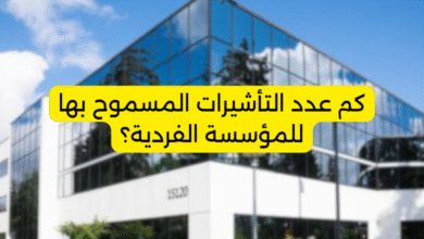 كم عدد التأشيرات المسموح بها للمؤسسة الفردية؟