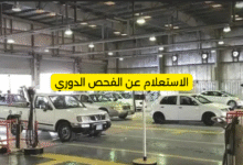 الاستعلام عن الفحص الدوري