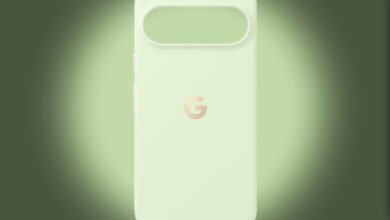 تسريب رسمي لأغطية Google Pixel 10 Pro المغناطيسية Qi2 بجميع ألوانها السبعة