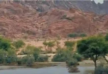 عاجل: الدفاع المدني السعودي يعلن حظر الاقتراب من ثلاث مناطق بسبب الأمطار الغزيرة والسيول