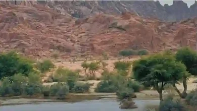 عاجل: الدفاع المدني السعودي يعلن حظر الاقتراب من ثلاث مناطق بسبب الأمطار الغزيرة والسيول
