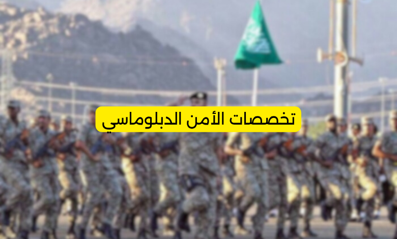 تخصصات الأمن الدبلوماسي
