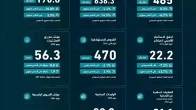 أرقام مشجعة تعكس تقدم الاقتصاد السعودي نحو تحقيق أهداف التنمية