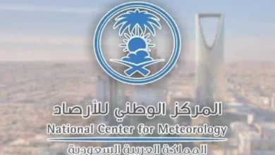 الأرصاد تُعلن: منخفض جوي يُسبب الأمطار الرعدية في 10 مناطق بالمملكة اليوم