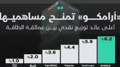 الكشف عن قيمة عوائد حاملي أسهم أرامكو وحجم المكاسب المتوقعة