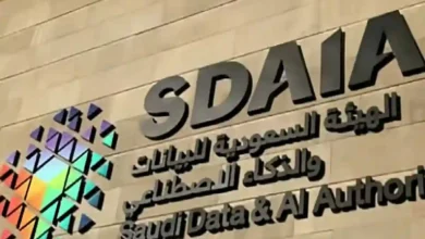 برنامج وطني لتعزيز كفاءة الجهات الحكومية في حماية وتصنيف البيانات