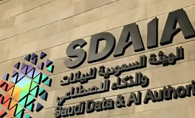 برنامج وطني لتعزيز كفاءة الجهات الحكومية في حماية وتصنيف البيانات