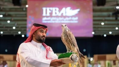 عرض إطلاق صقر في السعودية بسعر مدهش: يقطع المسافة من شمال المملكة إلى جنوبها في 8 ساعات فقط