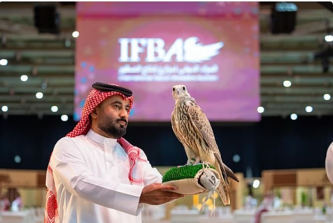 عرض إطلاق صقر في السعودية بسعر مدهش: يقطع المسافة من شمال المملكة إلى جنوبها في 8 ساعات فقط