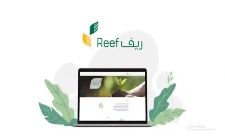 برنامج ريف يوقف دعم آلاف المستفيدين بعد تطبيق شرط جديد لم يلاحظه الكثيرون