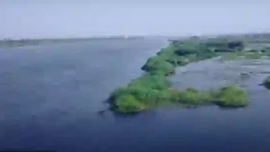فيديو: أنهار سعودية تتفجر من الشمال إلى الجنوب وتتفوق على نهر النيل