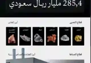 السعودية تكشف عن اكتشاف كنز ضخم من المعادن النادرة سيجعل سكان الباحة من المليارديرات