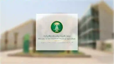 السعودية تبدأ اليوم تطبيق قرار جديد يغير اشتراطات بيع الخضار والفواكه في محلات السوبر ماركت
