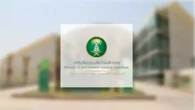 السعودية تعلن عن مشروع فريد لإنهاء مشاكل السيول في جدة خلال موسم الأمطار