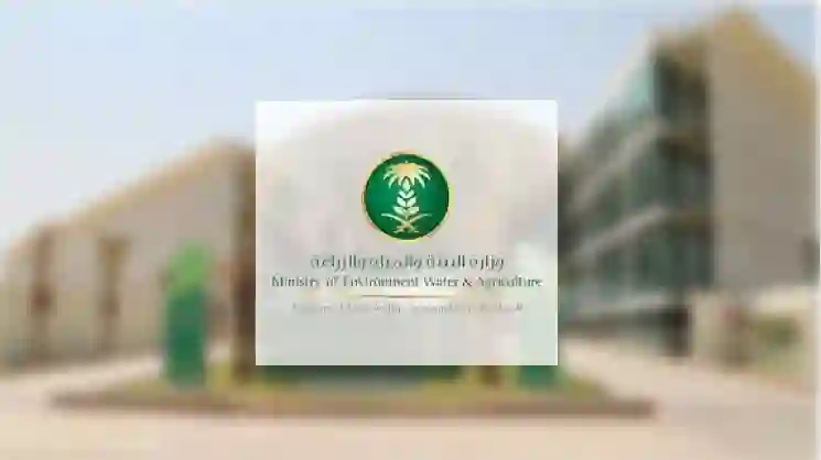 السعودية تعلن عن مشروع فريد لإنهاء مشاكل السيول في جدة خلال موسم الأمطار