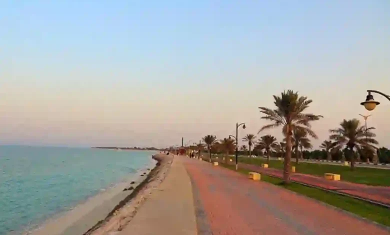 هذه المدينة الصغيرة: محور الاقتصاد السعودي بناتج أكبر من الرياض وجدة