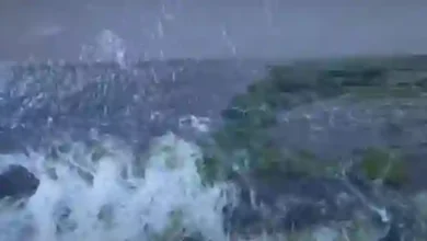 فيديو مذهل يبرز الأنهار المتفجرة من صحراء السعودية وعبورها أنحاء المملكة من الشمال إلى الجنوب