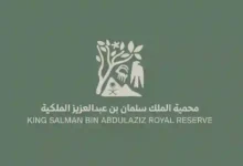 طائر أبيض نادر يظهر في سماء السعودية لأول مرة والكشف عن سبب ظهوره في المملكة
