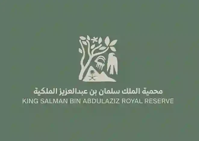 طائر أبيض نادر يظهر في سماء السعودية لأول مرة والكشف عن سبب ظهوره في المملكة