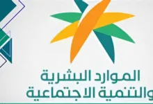 قرارات جديدة تعيد تشكيل وظائف المحاسبة في السعودية: تفاصيل مثيرة