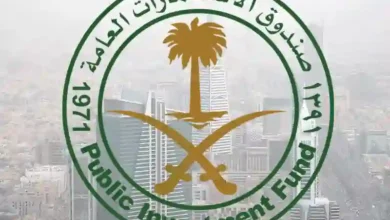 حصريًا: أرقام مذهلة حول استثمارات صندوق الاستثمارات في السعودية
