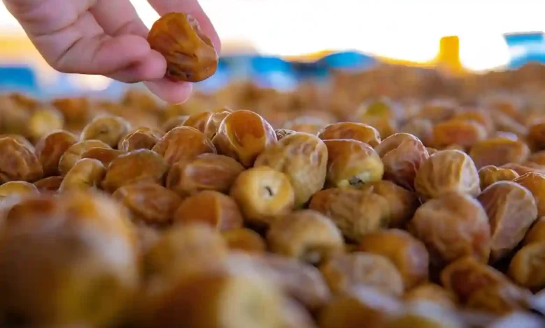 كيف تعزز العُلا اقتصاد التمور وتطور قطاعها الزراعي؟