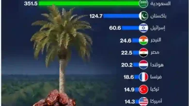 حقائق صادمة: مقارنة تكشف جودة وحجم إنتاج التمور في مصر والسعودية