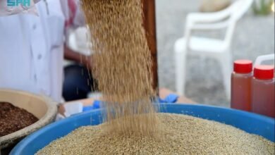 نبات فريد من نوعه في عسير: اكتشفه في جنوب السعودية!