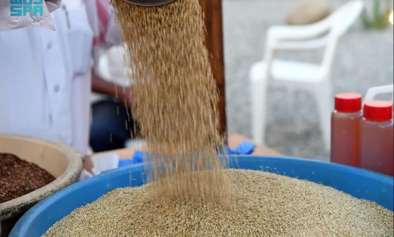 نبات فريد من نوعه في عسير: اكتشفه في جنوب السعودية!