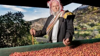 في السعودية: منطقة تزرع أفضل أنواع البن في العالم