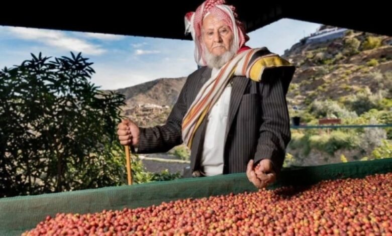 في السعودية: منطقة تزرع أفضل أنواع البن في العالم
