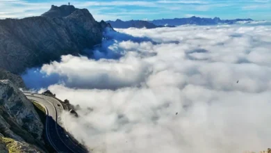 الطائف تحقق معجزة وتتصدر مدن المملكة في السياحة الداخلية والخارجية متفوقة على الرياض وجدة