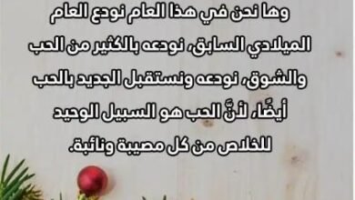 صور وعبارات تهاني بمناسبة العام الجديد 2026