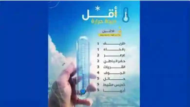 عاجل: الأرصاد تعلن حالة الطوارئ في مناطق جديدة بالسعودية نتيجة موجة صقيع غير مسبوقة