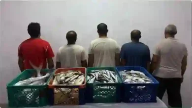 عاجل: السعودية تبدأ في توقيف المصريين بسبب أحداث البحر الأحمر