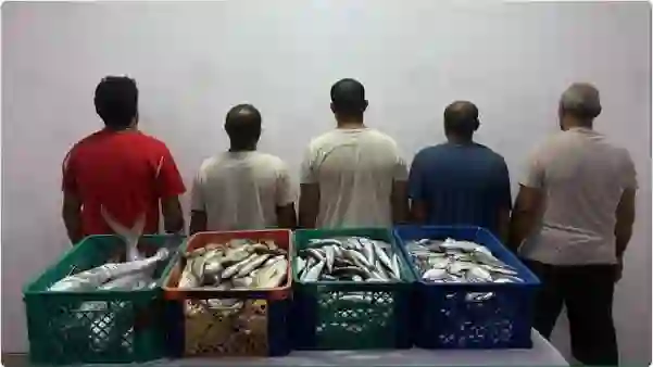 عاجل: السعودية تبدأ في توقيف المصريين بسبب أحداث البحر الأحمر