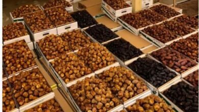 دليلك الشامل: الفرق بين التمر والرطب وأيهما الأنسب للفطور والسحور وأسعار كل نوع في السعودية