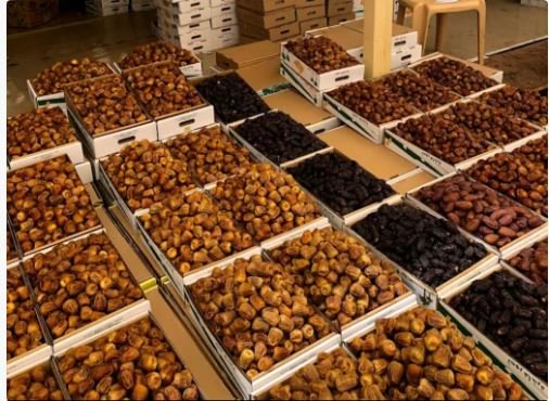 دليلك الشامل: الفرق بين التمر والرطب وأيهما الأنسب للفطور والسحور وأسعار كل نوع في السعودية