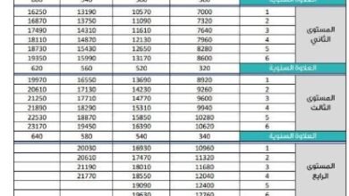 حصري.. إعلان تاريخ تسكين المعلمين والمعلمات في السعودية وترقية الرواتب وزياداتها لعام 1447