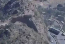 خبر عاجل: السعودية تكشف عن مستجدات هامة لأبناء تعز في اليمن تسعدهم جداً