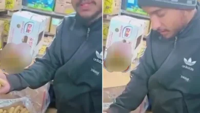 عاجل وحصري: اكتشف أغلى نوع من التمر في السعودية بسعر يتجاوز 20,000 ريال للكيلو وسبب سعره المدهش!