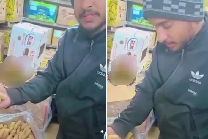 عاجل وحصري: اكتشف أغلى نوع من التمر في السعودية بسعر يتجاوز 20,000 ريال للكيلو وسبب سعره المدهش!