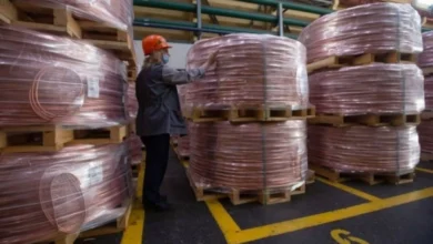 عاجل وحصري: معدن أصفر يحقق ثروة كبيرة لمن يشتريه الآن، وليس الذهب!