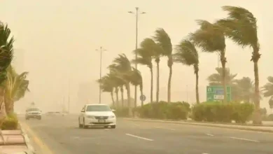 تحذير عاجل من الوطني للأرصاد: موجات غبار ورياح عاصفة تضرب الرياض من الليلة حتى نهاية الأسبوع