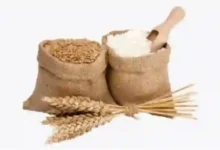 دليل حساب زكاة الفطر في السعودية وفقًا لهيئة كبار العلماء لعام 1447