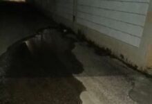 مدرسة في السعودية تتحول إلى بحيرة تتفجر منها الأنهار وسكان المنطقة يكشفون التفاصيل ويرفعون نداءً عاجلاً