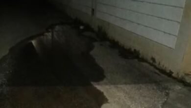 مدرسة في السعودية تتحول إلى بحيرة تتفجر منها الأنهار وسكان المنطقة يكشفون التفاصيل ويرفعون نداءً عاجلاً