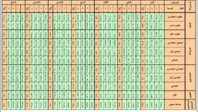 سلم رواتب الأطباء في السعودية 2026 بعد إصدار كشوف العلاوات السنوية للأطباء السعوديين وغير السعوديين